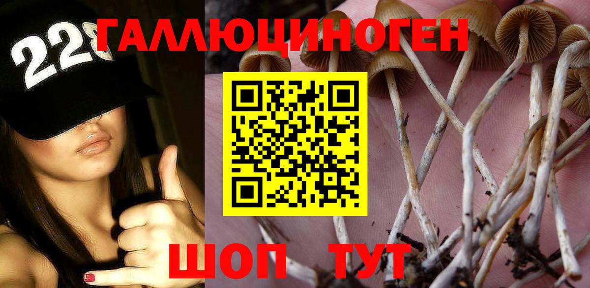 Галлюциногенные грибы Psilocybe Коряжма