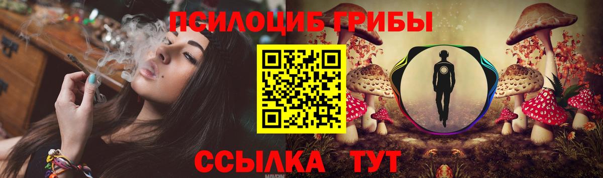 даркнет сайт  Галлюциногенные грибы MAGIC MUSHROOMS  Вход с VPN  Коряжма 