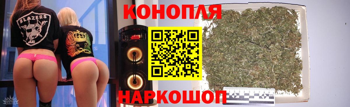 Каннабис планчик Коряжма